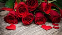 Red roses and hearts
