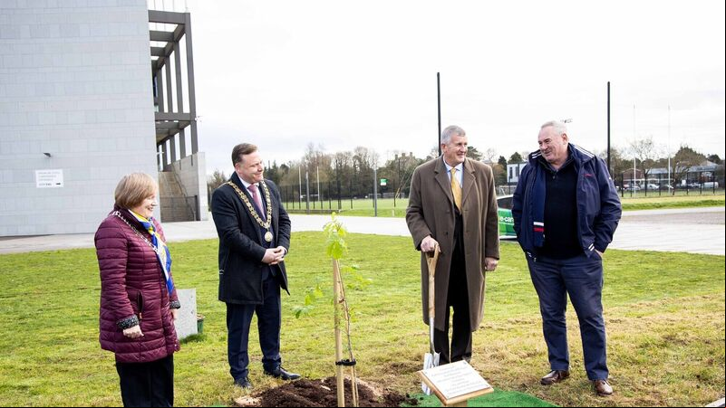 Tree planted in memory of Cork's 9/11 victims Tree planted in memory of Cork's 9/11 victims