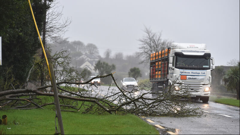 Storm names honour scientists across island of Ireland Storm names honour scientists across island of Ireland