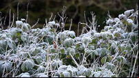 Cork set for cold snap with temperatures plummeting in coming days