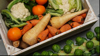 Fruit and Vegetables stock images