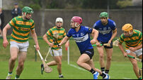 RedFM Hurling League: Sarsfields come good in closing stages against Blackrock