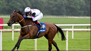 <p>Magical Hope and Colin Keane win for owners Steven Weston, Ballylinch Stud, Paul Shanahan and Patrick John O'Brien and trainer Paddy Twomey. Picture: Healy Racing</p>