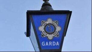 <p>Gardaí and emergency services responded to the collision involving a vehicle and a pedestrian, in the townland of Donemark, Bantry, shortly after 3am</p>
